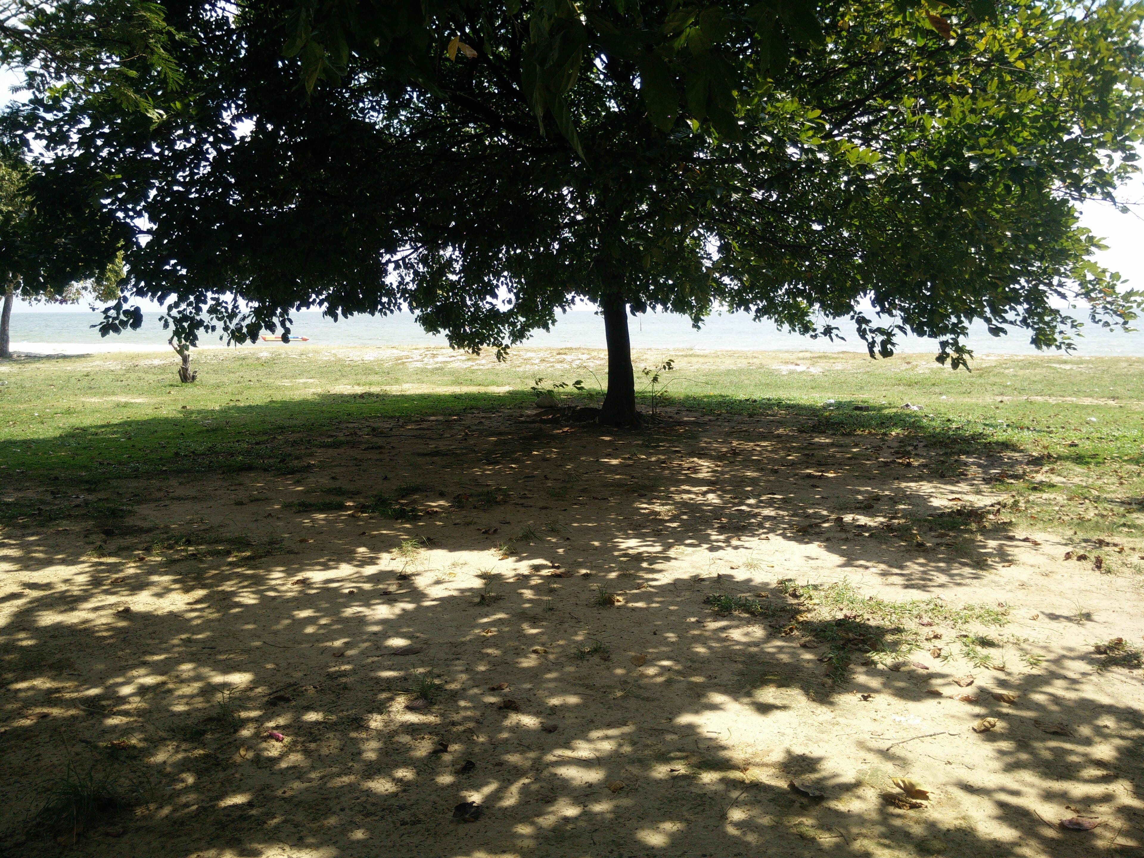 Beach by Bayu Beach Resort in Port Dickson